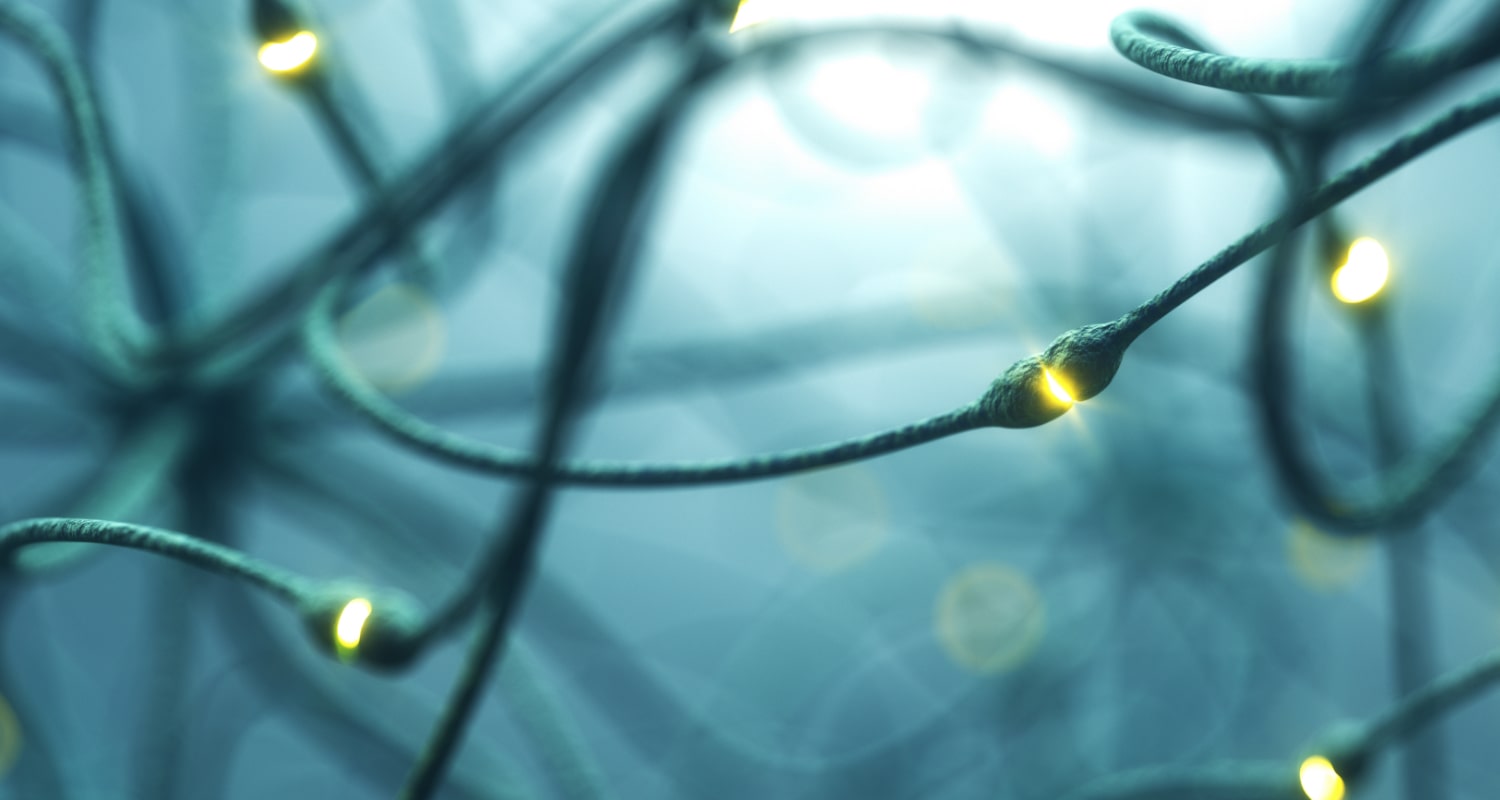 Pain Physiotherapy Level 1