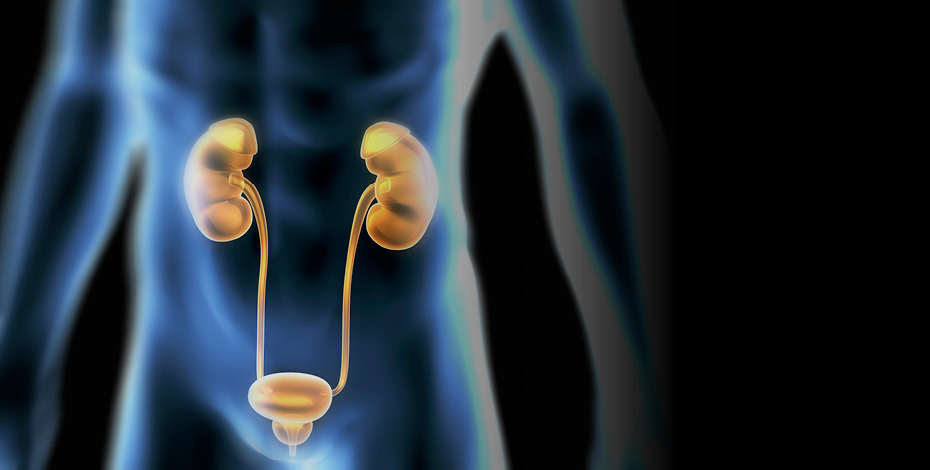 Physiotherapy management of incontinence in men