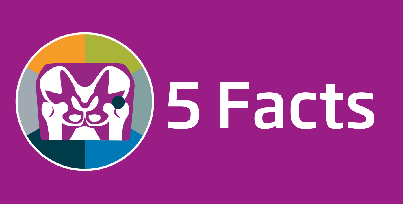 fractured_neck_PRF_930x470