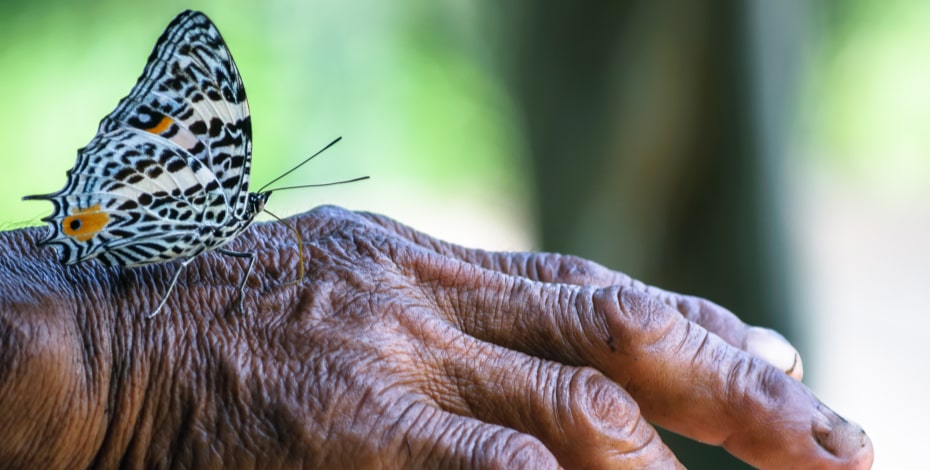 Five facts about … frailty