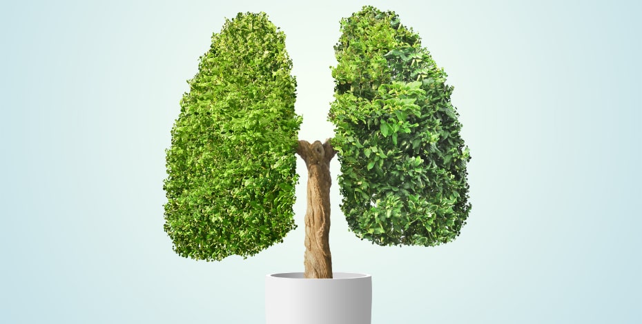 5 facts about cardiorespiratory physiotherapy