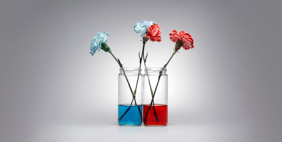 Transforming the health system requires a workforce policy solution