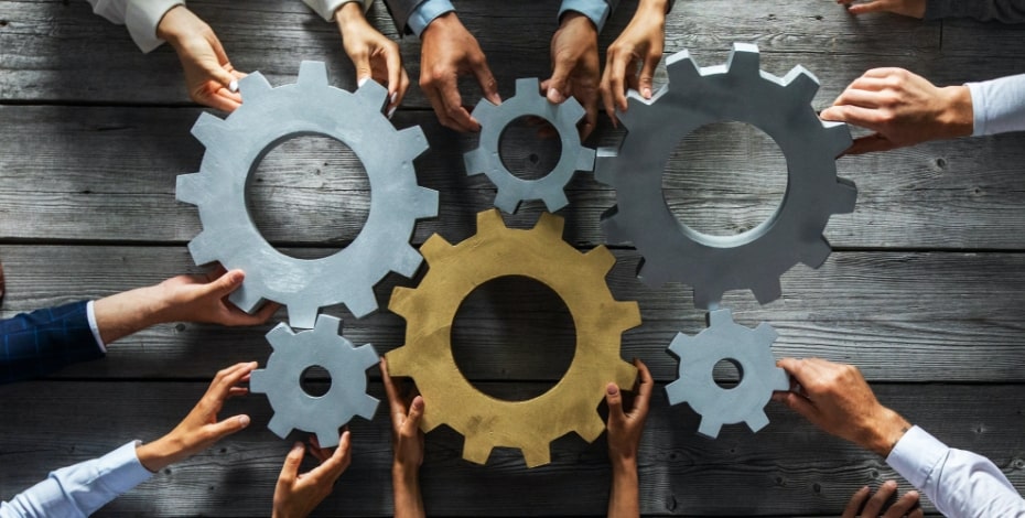 New growth in Tasmania