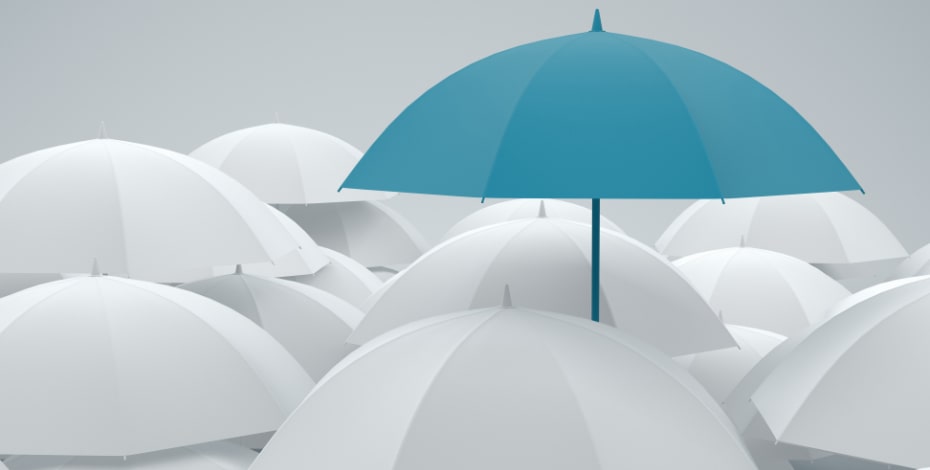 Facing challenges in a time of flux