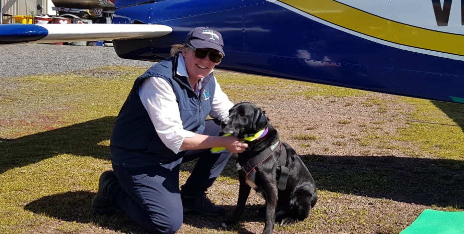 High-flying adventures of a physio and her pooch