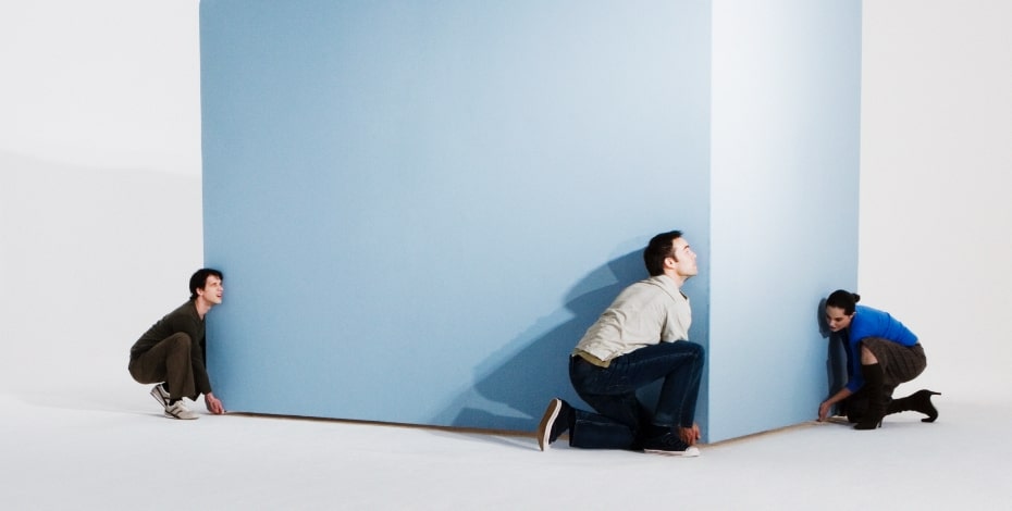 Mentoring for success: elevating your team