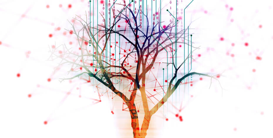 Partnership brings everyone together