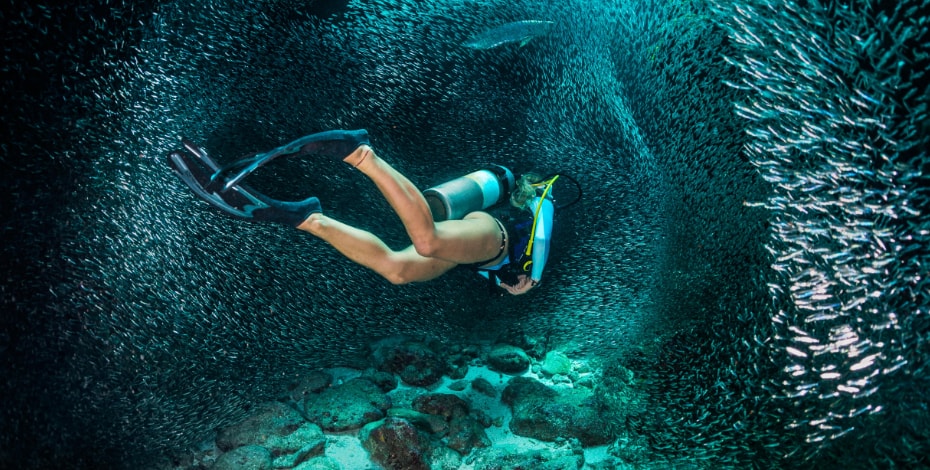 Diving deeper into the research