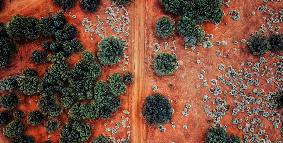 Fond memories of a Territory physio