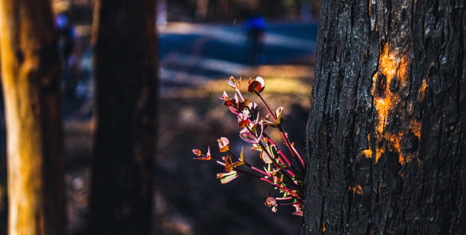 Supporting our communities, and our own, in need