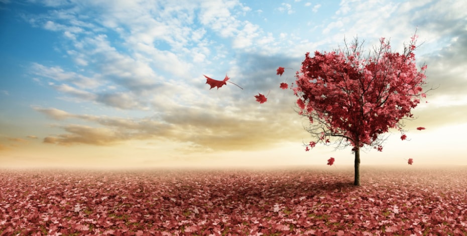 Rural challenges to in-home treatment