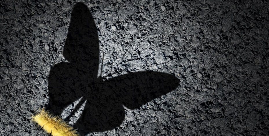 A window into residential aged care funding reform