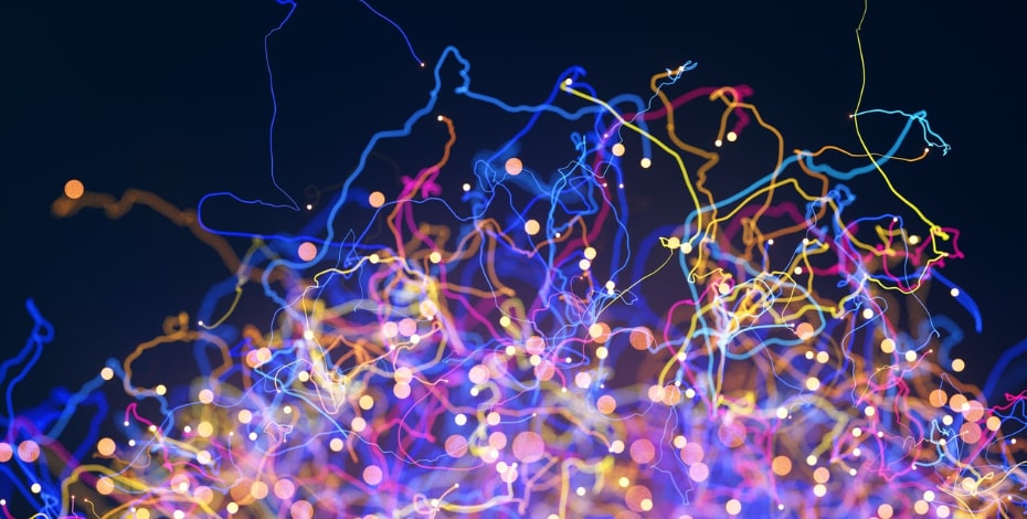 Expanding on the research