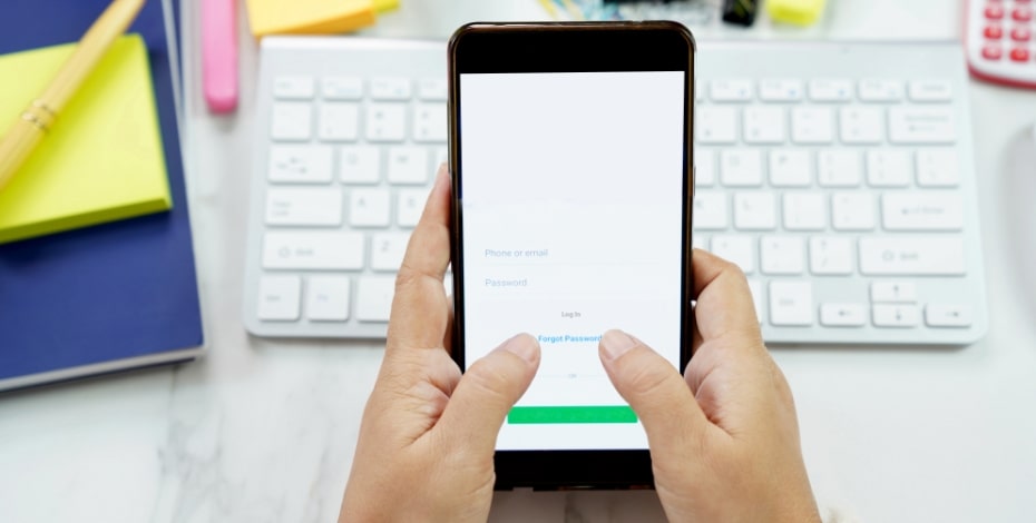 Registration: renewals and new graduates