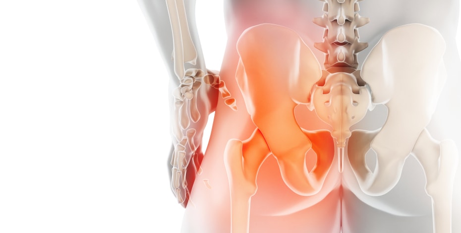 Lumbar spine and pelvis in focus