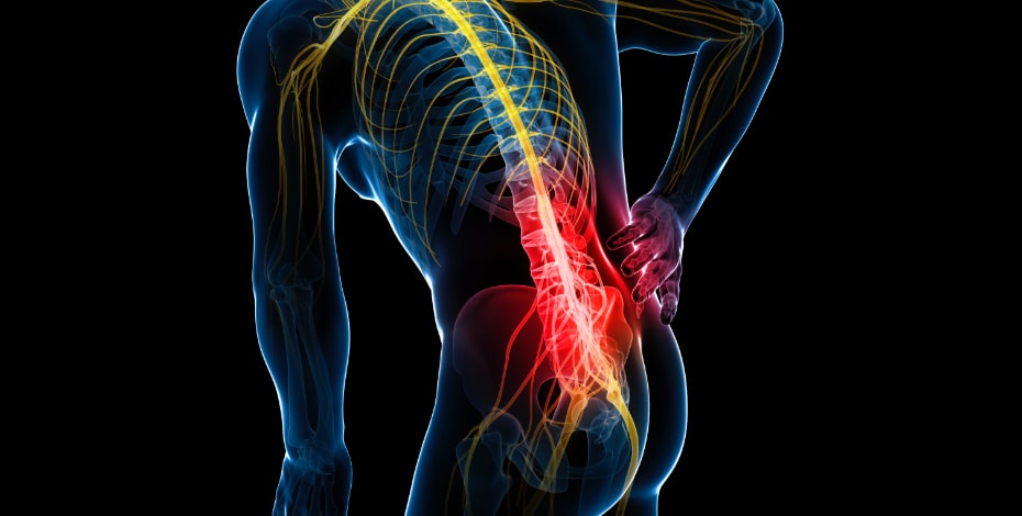 The lumbar spine and pelvic region is nothing to fear 