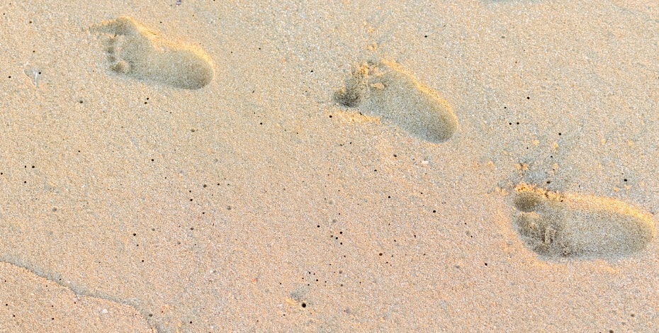 A step up to help people with disabilities