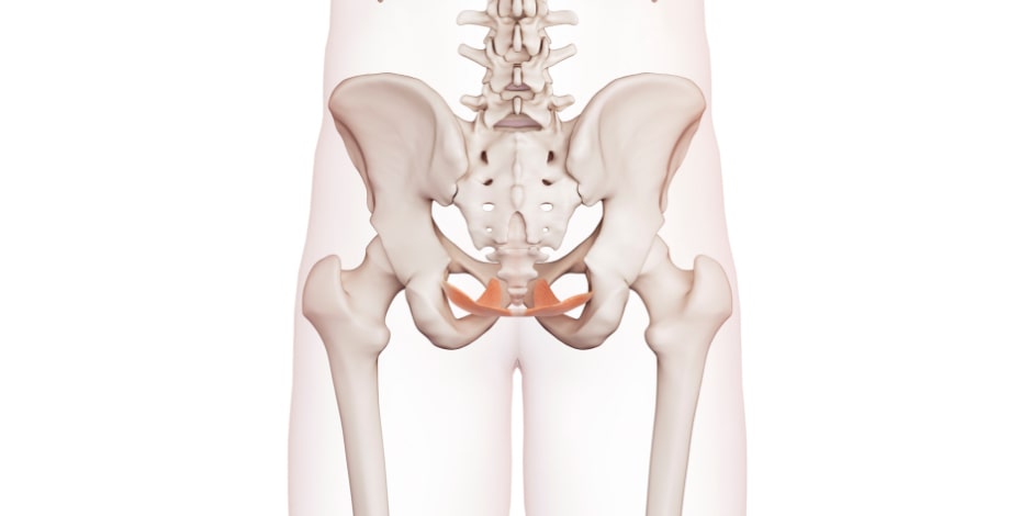 Have you read the latest research?