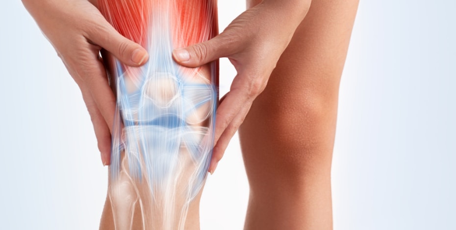 Putting a passion for supporting researchers to work