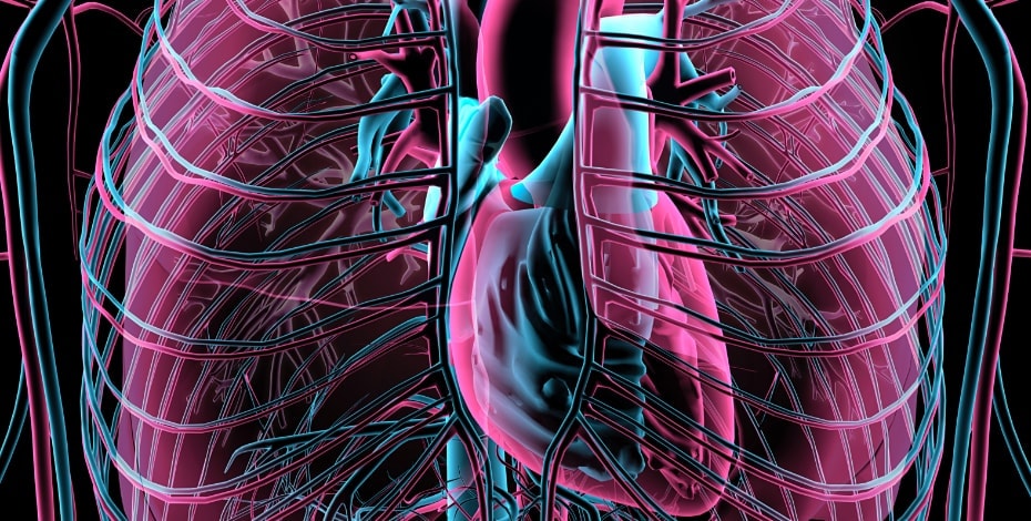 Nicole Turney Memorial Grant 2019