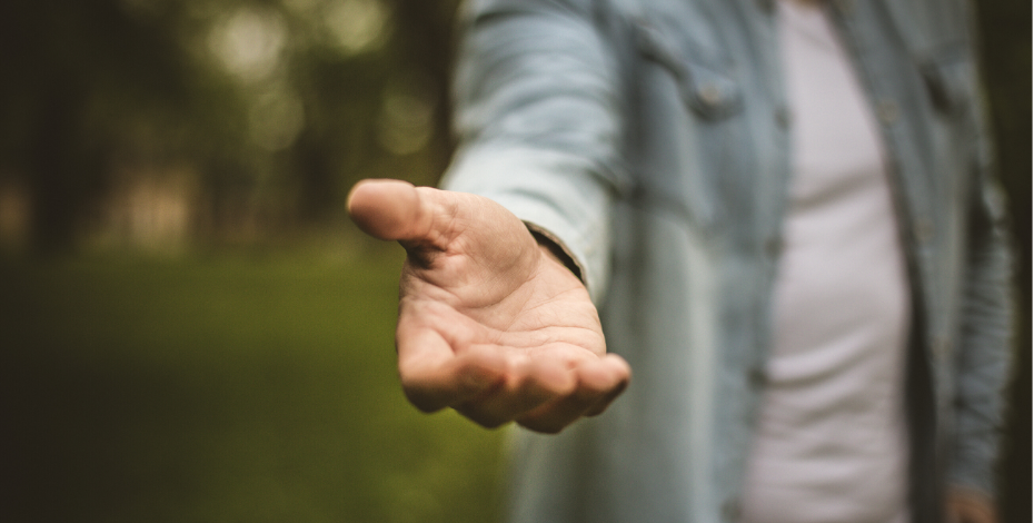 Support for those impacted by NSW and QLD bushfires 