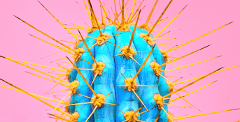 A round-up of news items