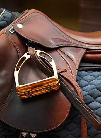 ""horse saddle on horse's back